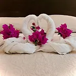 Otel Des Mimosas 3*