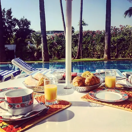 Des Mimosas