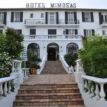 מלון Des Mimosas 3*