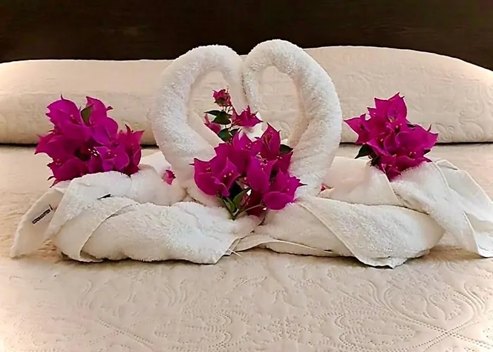 Hotel Des Mimosas 3*